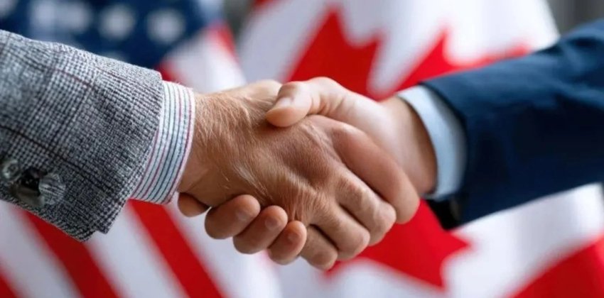 Comprehensive Strategy for Your Business in the USA and Canada: What Grupo Sineva Can Do for You